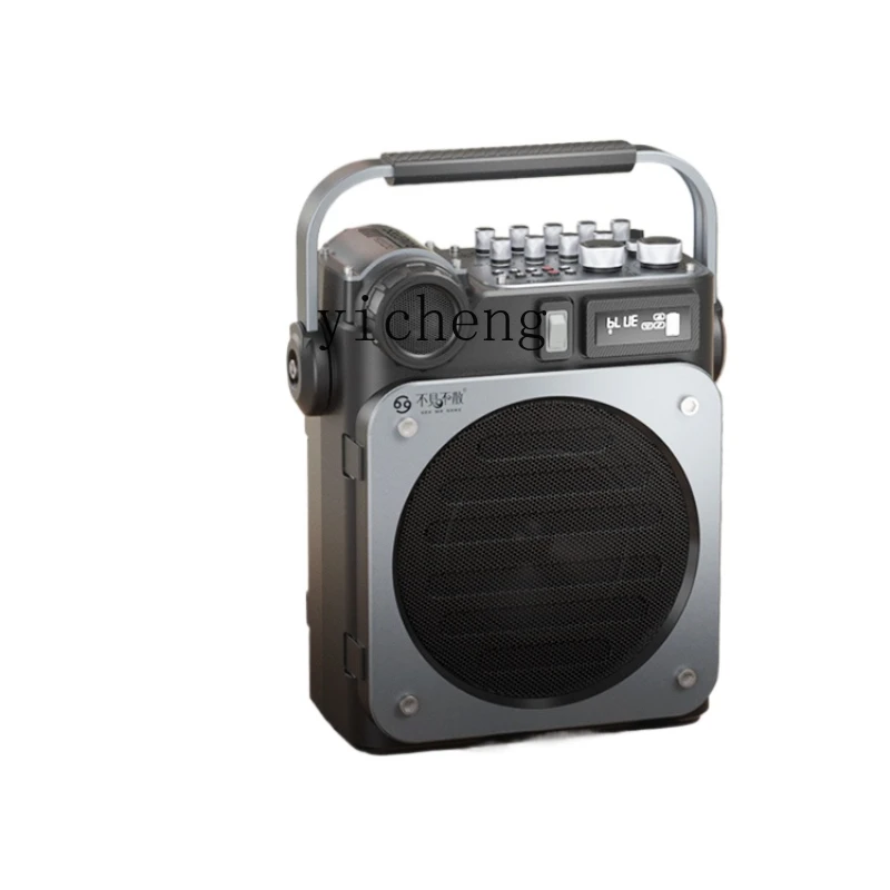 Speakers - D6 High-Power Live Broadcast Mini Speaker