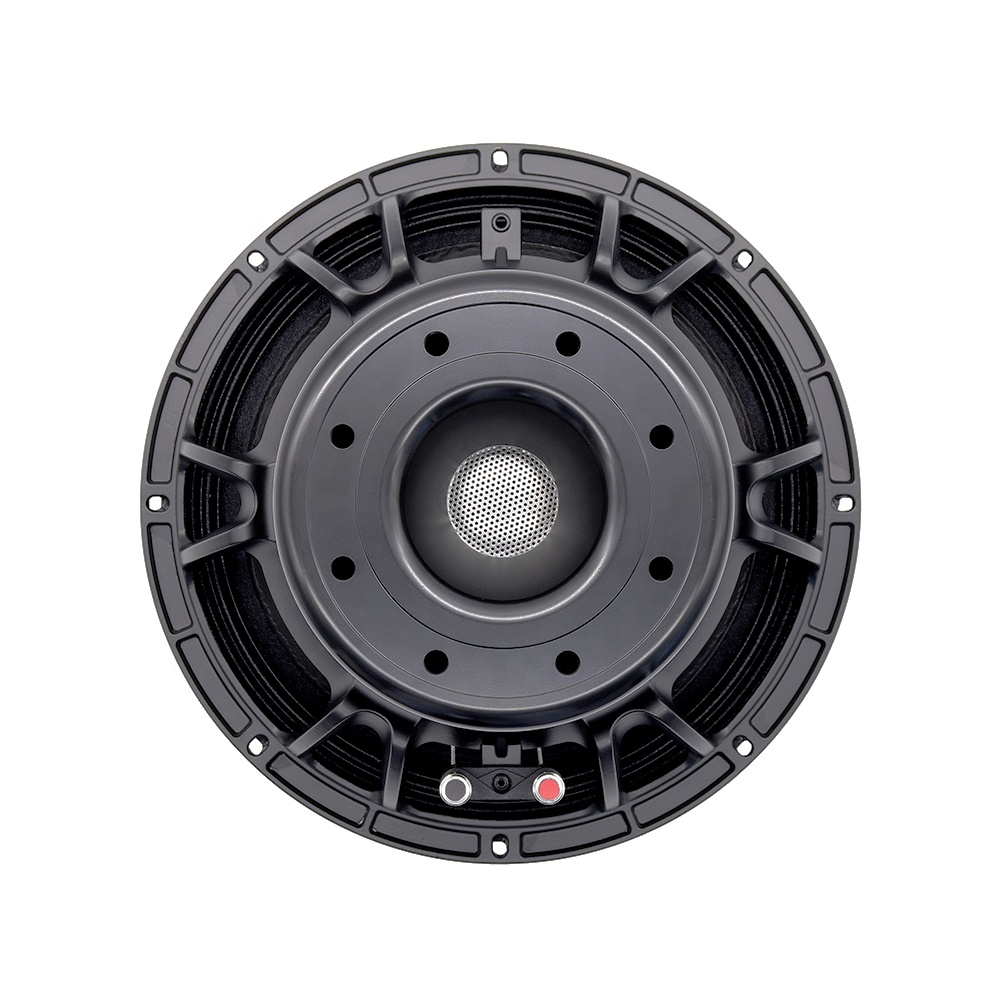 12DS Pro Audio Equipment 12''  - Speakers 评论和价格
